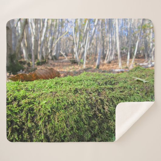 秋のコケの木の眠りパーソナライズされた- シェルパブランケット (正面(横))