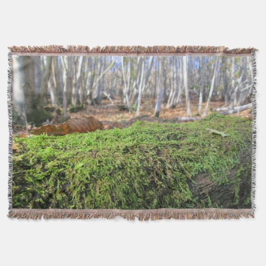 秋のコケの木の眠りパーソナライズされた- スローブランケット (正面)