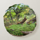 秋のコケの木の眠りパーソナライズされた- ラウンドクッション (裏面)