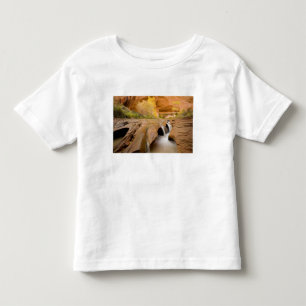 秋のコットンウッズ、コヨーテ・ガルチ、グレン トドラーTシャツ