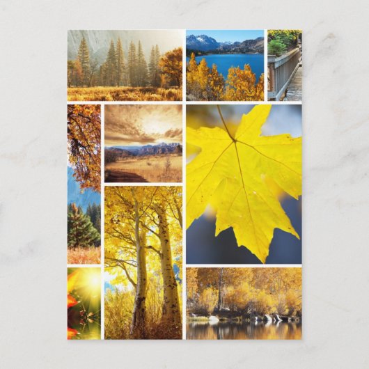 秋のコラージュ ポストカード (正面)