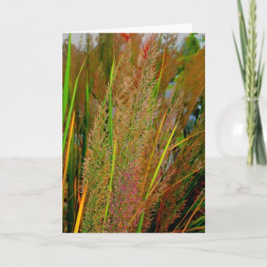 秋のコレクションのメッセージカード カード (正面)