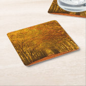 秋のコースターの森林を通した歩く道 スクエアペーパーコースター (アングル)