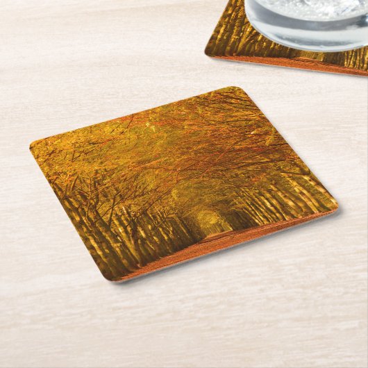 秋のコースターの森林を通した歩く道 スクエアペーパーコースター (アングル)