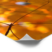 秋のゴールデン金ゴールドメープルリーフポスター ポスター (角)