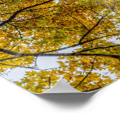 秋のサトウモミの日光 ポスター (角)