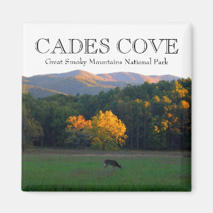 秋のシカの野性生物のcadesの入江の素晴らしい煙のmtns マグネット