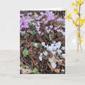 秋のシクラメン葉空白の カード (黄色い花)