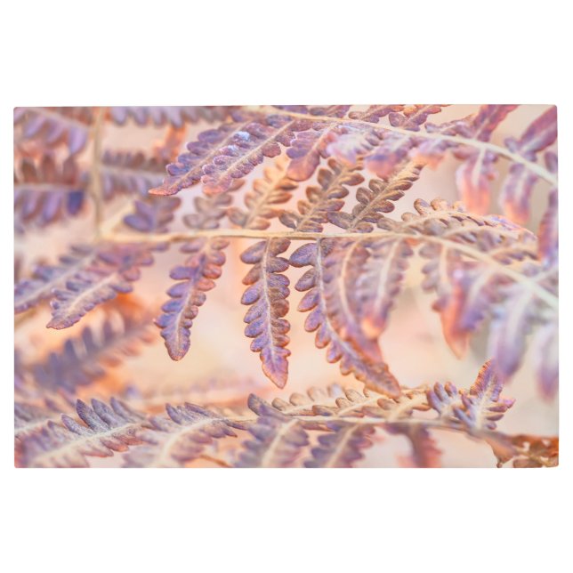 秋のシダ メタルプリント (正面)