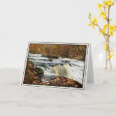 秋のショホラ滝 カード (黄色い花)