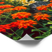 秋のシンフォニー。フローラ調和自然。 ポスター (角)