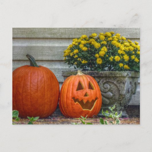 秋のシーンポストカード ポストカード (正面)