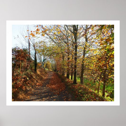 秋のジャージーレーン ポスター (正面)