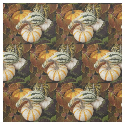 秋のスカッシュ静物写真 ファブリック (見本)