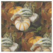 秋のスカッシュ静物写真 ファブリック (クローズアップ)