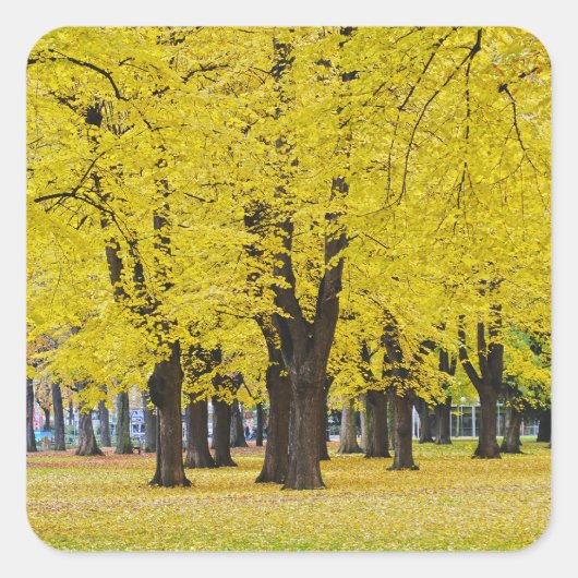 秋のステッカー スクエアシール (正面)