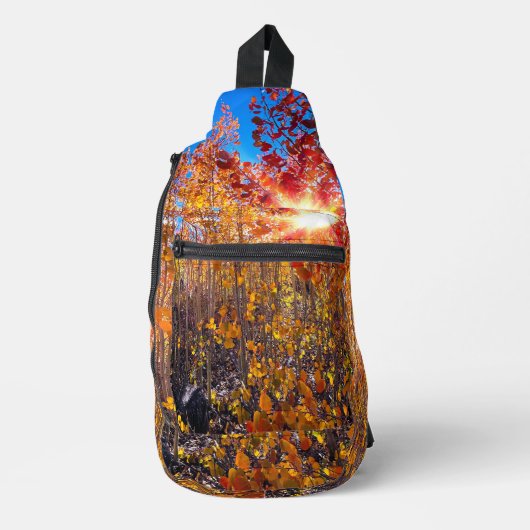 秋のスリングバック、バッグ、ポーチ スリングバッグ (正面)