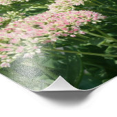 秋のセダム花びら10x8クローズアップ花 フォトプリント            (角)