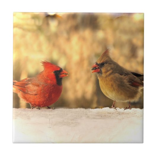 秋のセラミックタイルの(鳥)ショウジョウコウカンチョウ タイル (正面)