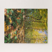 秋のセントラルパークニューヨークジグソーパズル ジグソーパズル (横)