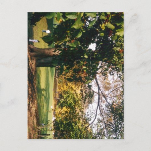 秋のセントラルパーク ポストカード (正面)