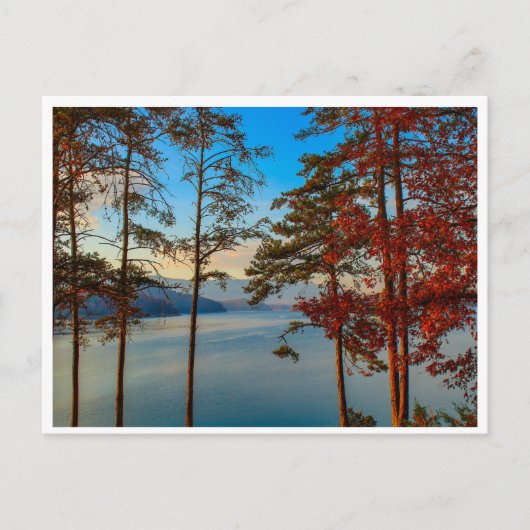 秋のソーホー ポストカード (正面)