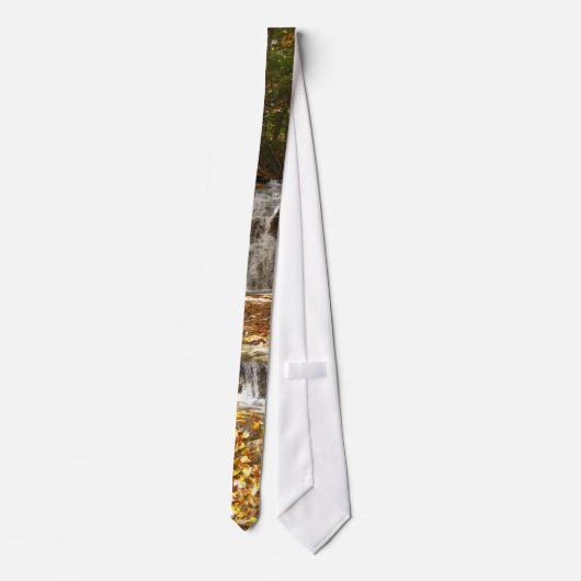 秋のタイ ネクタイ (裏面)