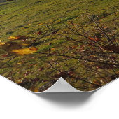 秋のタトラ ポスター (角)