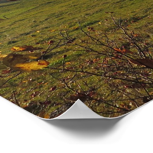 秋のタトラ ポスター (角)