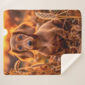 秋のダックスシャンドアップ シェルパブランケット (正面(横))