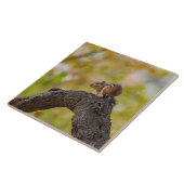 秋のチムンク タイル (側面)