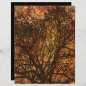 秋のテクスチャ素朴ツリースクラップブック作り (正面/裏面)