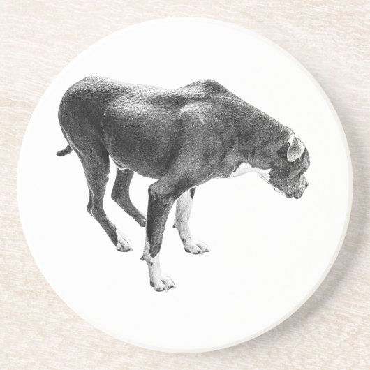 秋のテーブルガーディアン コースター (正面)