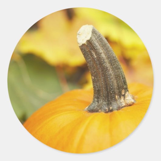 秋のデザイン ラウンドシール (正面)