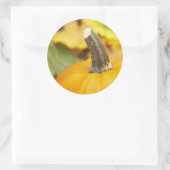 秋のデザイン ラウンドシール (バッグ)