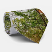 秋のトランマンダムネックタイ ネクタイ (ロール)