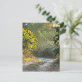 秋のトレイル写真はがき ポストカード (スタンド正面)