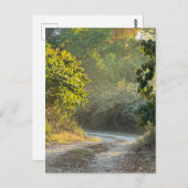 秋のトレイル写真はがき ポストカード (正面/裏面)