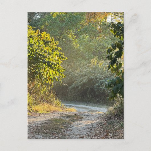 秋のトレイル写真はがき ポストカード (正面)