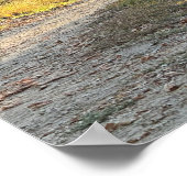 秋のトレイル写真ポスター ポスター (角)