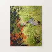 秋のトールグラスの野生の七面鳥 ジグソーパズル (縦)