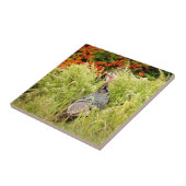 秋のトールグラスの野生の七面鳥 タイル (側面)