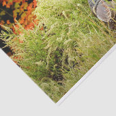 秋のトールグラスの野生の七面鳥 薄葉紙 (詳細)