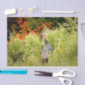 秋のトールグラスの野生の七面鳥 薄葉紙 (クラフト)