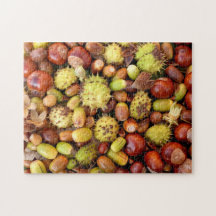 秋のナットおよびconkers