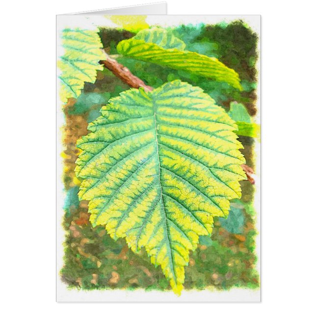 秋のニレの葉 (正面)