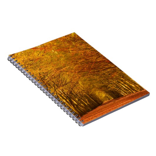 秋のノートの森林を通した歩く道 ノートブック (右側)
