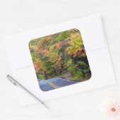 秋のハイウェイに沿った色のキャノピー41 2 スクエアシール (封筒)