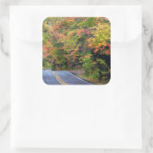 秋のハイウェイに沿った色のキャノピー41 2 スクエアシール (バッグ)
