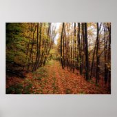 秋のハイキング ポスター (正面)